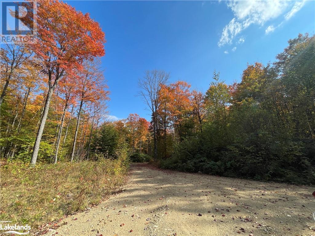 Lot 31-32 Con 10 Brunel, Huntsville, Ontario  P1H 2J6 - Photo 24 - 40542792
