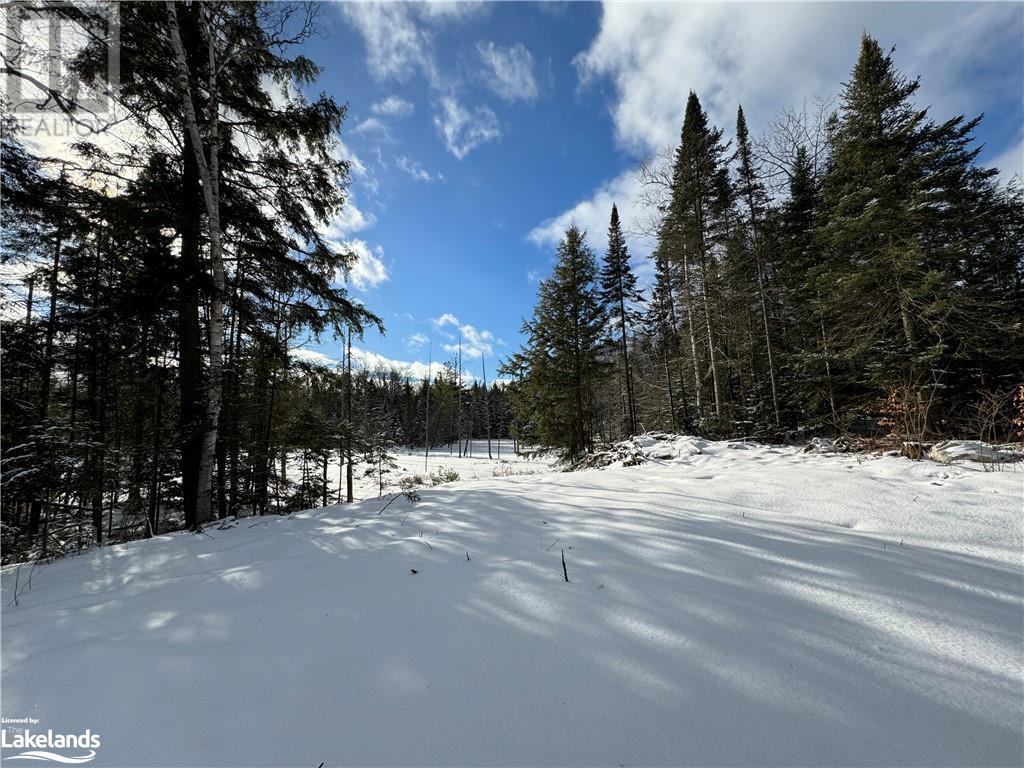 Lot 31-32 Con 10 Brunel, Huntsville, Ontario  P1H 2J6 - Photo 37 - 40542792