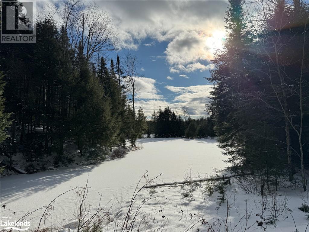 Lot 31-32 Con 10 Brunel, Huntsville, Ontario  P1H 2J6 - Photo 13 - 40542792