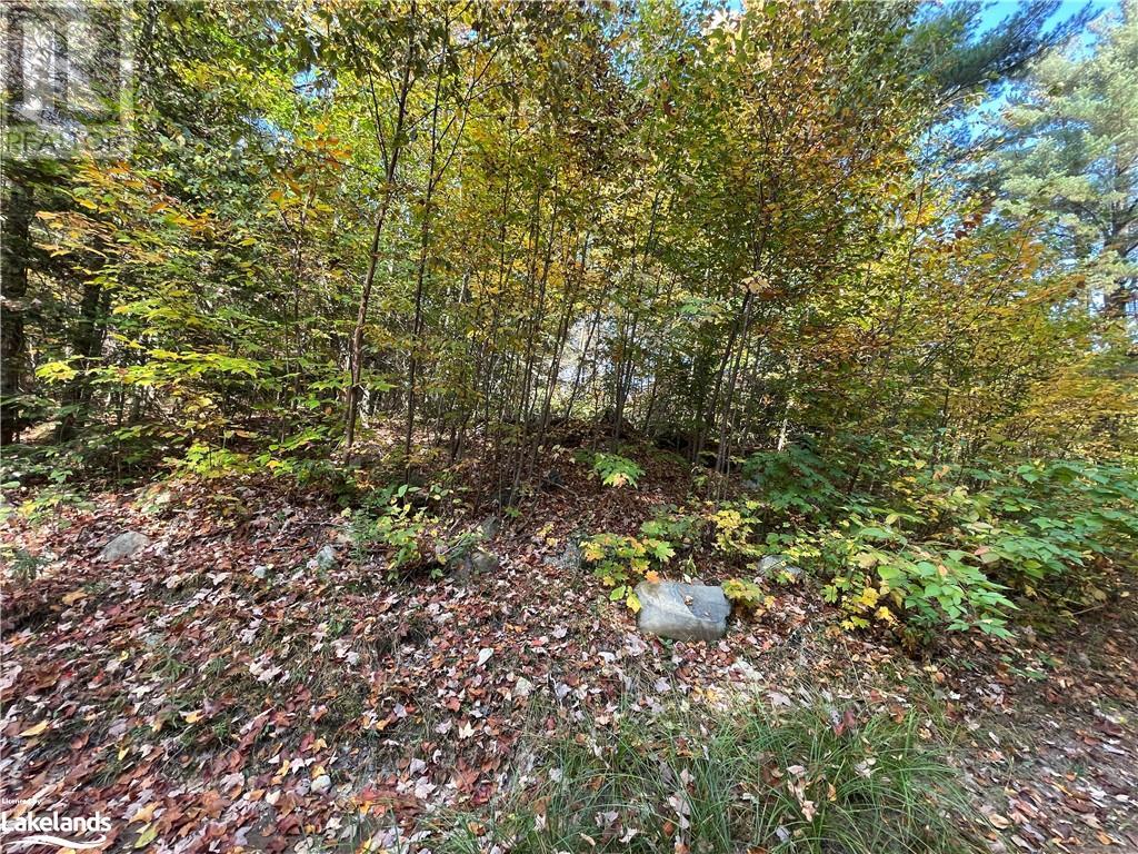 Lot 31-32 Con 10 Brunel, Huntsville, Ontario  P1H 2J6 - Photo 23 - 40542792