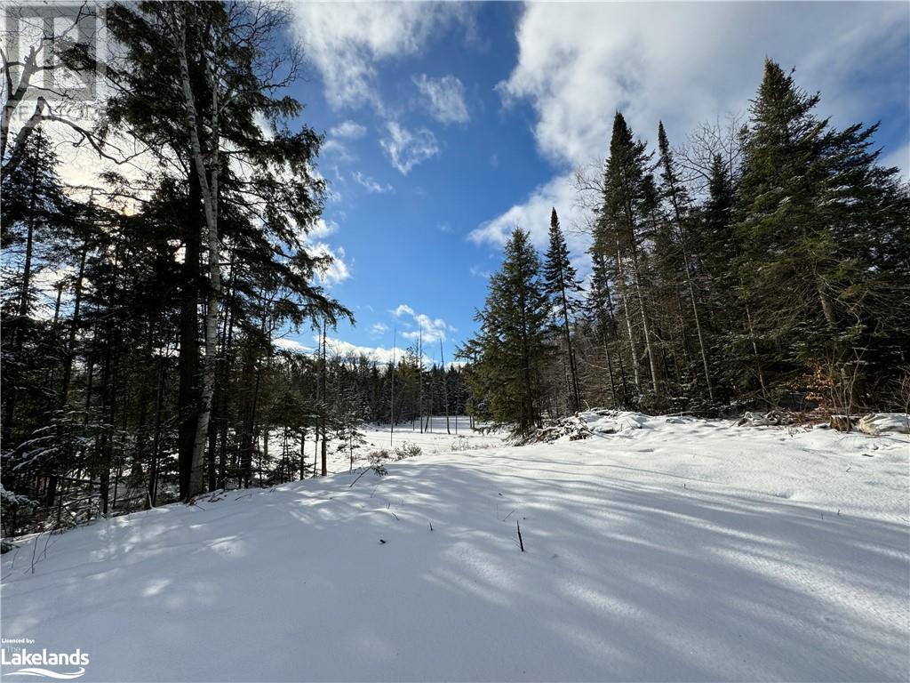 Lot 31-32 Con 10 Brunel, Huntsville, Ontario  P1H 2J6 - Photo 35 - 40542792