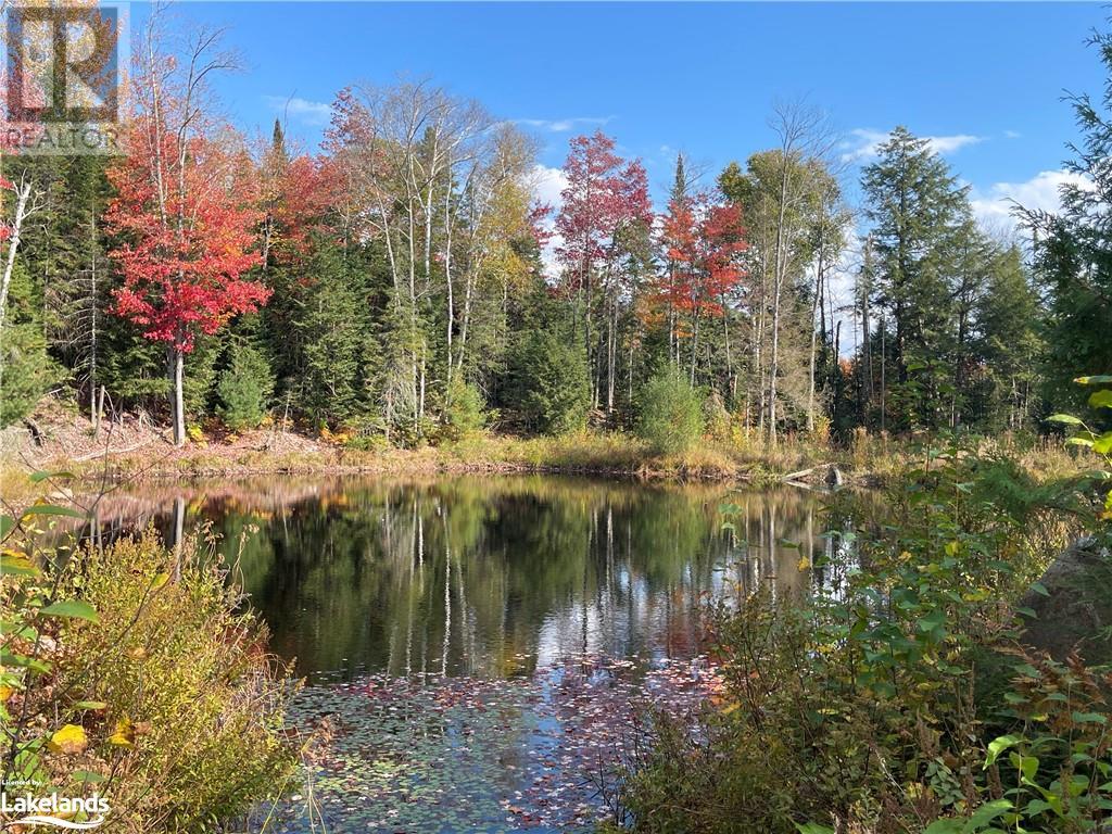 Lot 31-32 Con 10 Brunel, Huntsville, Ontario  P1H 2J6 - Photo 25 - 40542792