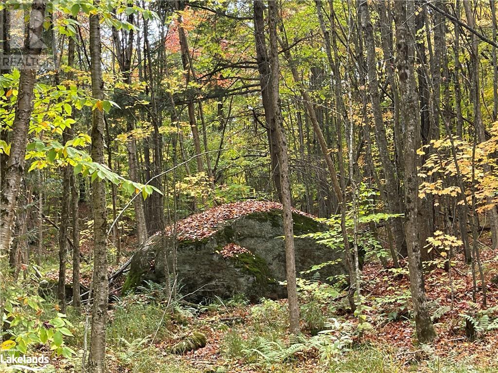 Lot 31-32 Con 10 Brunel, Huntsville, Ontario  P1H 2J6 - Photo 21 - 40542792
