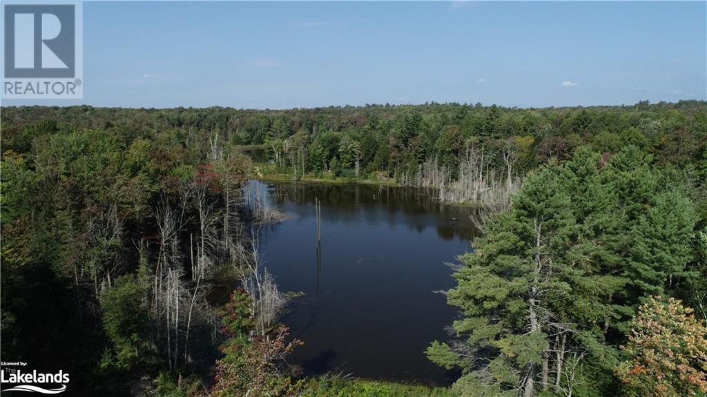 Lot 31-32 Con 10 Brunel, Huntsville, Ontario  P1H 2J6 - Photo 11 - 40542792