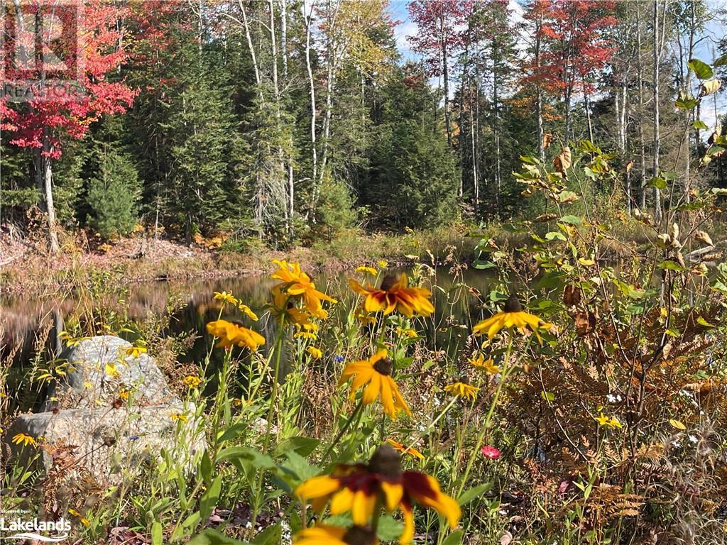 Lot 31-32 Con 10 Brunel, Huntsville, Ontario  P1H 2J6 - Photo 26 - 40542792