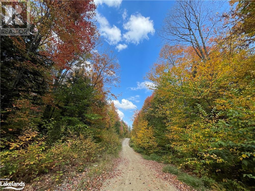 Lot 31-32 Con 10 Brunel, Huntsville, Ontario  P1H 2J6 - Photo 22 - 40542792