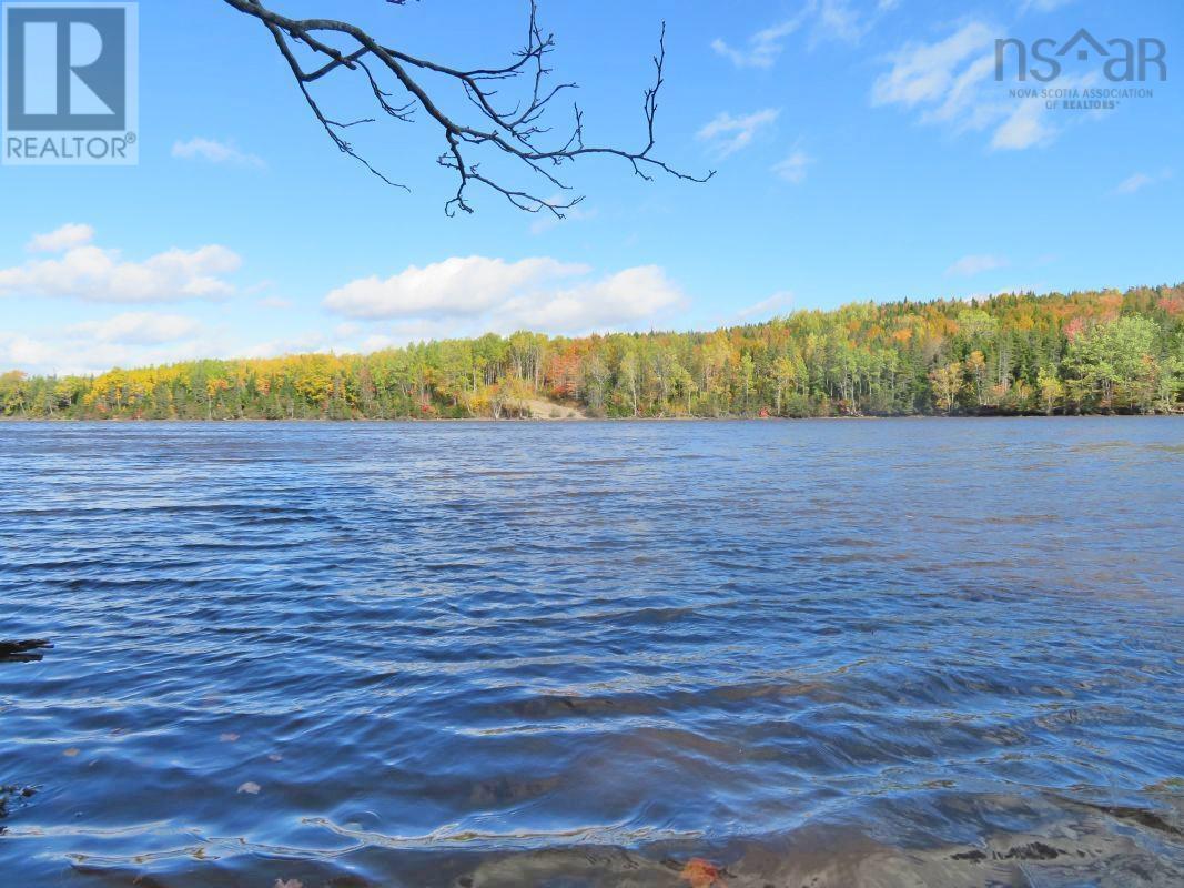Lower River Road, Hureauville, Nova Scotia  B0E 1J0 - Photo 10 - 202403114