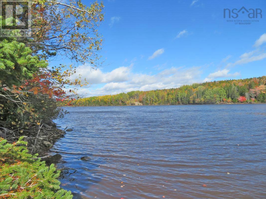 Lower River Road, Hureauville, Nova Scotia  B0E 1J0 - Photo 12 - 202403114