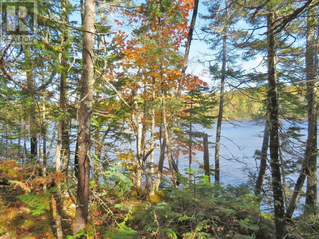 Lower River Road, Hureauville, Nova Scotia  B0E 1J0 - Photo 14 - 202403114