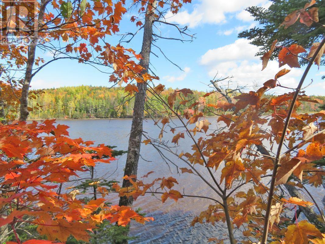 Lower River Road, Hureauville, Nova Scotia  B0E 1J0 - Photo 15 - 202403114