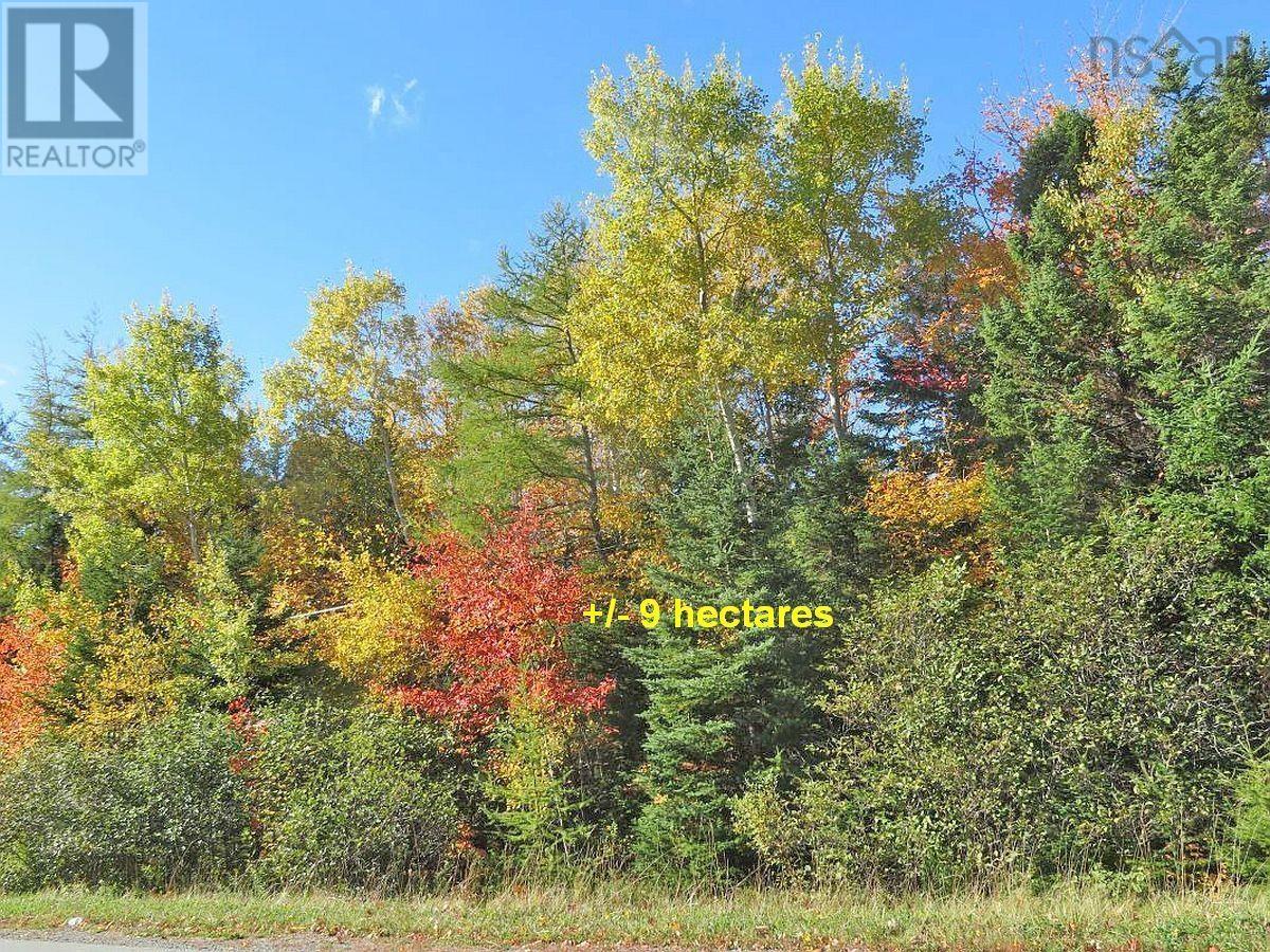 Lower River Road, Hureauville, Nova Scotia  B0E 1J0 - Photo 17 - 202403114