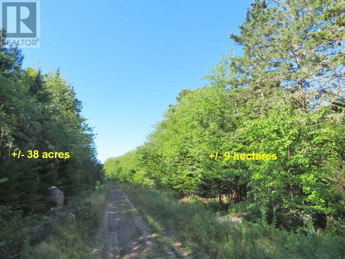 Lower River Road, Hureauville, Nova Scotia  B0E 1J0 - Photo 22 - 202403114