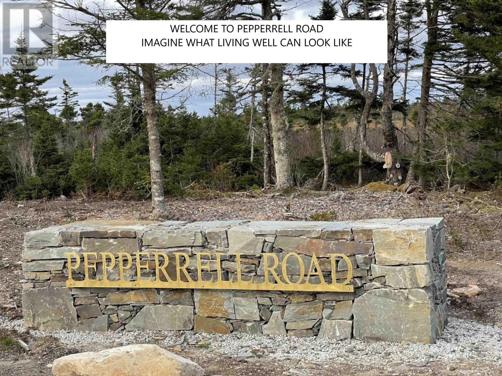 Lot #1a Pepperrell Road, Cape St Marys, Nova Scotia  B5A 5B4 - Photo 6 - 202400095