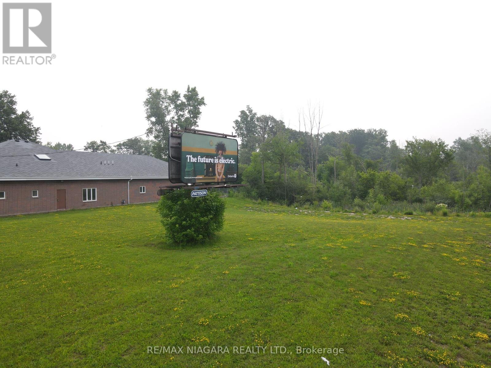 N/a Concession Rd, Fort Erie, Ontario  L2A 6R2 - Photo 2 - X6628154