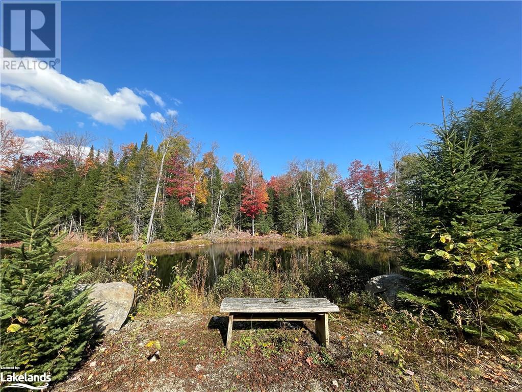 Lot 31-32 Con 10 Brunel, Huntsville, Ontario  P1H 2J6 - Photo 17 - 40542792