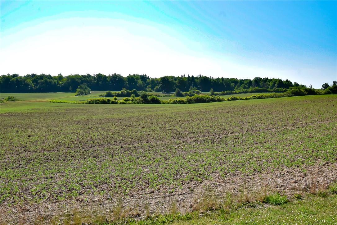 290 Richert Road, Haldimand County, Ontario  N0A 1E0 - Photo 38 - H4185887