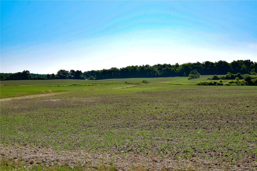 290 Richert Road, Haldimand County, Ontario  N0A 1E0 - Photo 39 - H4185887