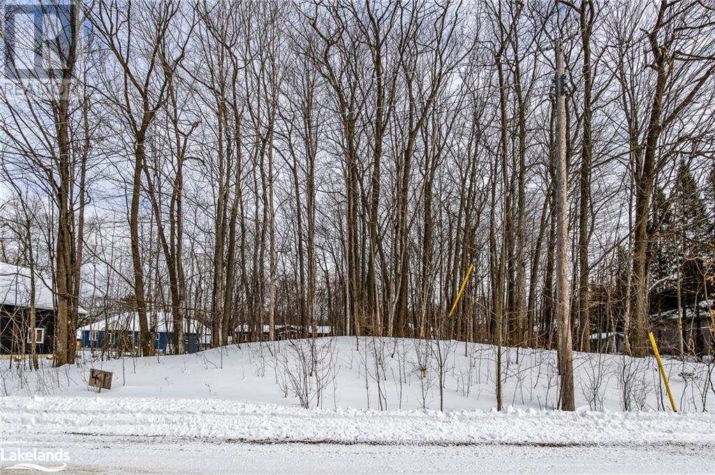 Lot 41 Wakunda Crescent, Tiny, Ontario  L9M 0B2 - Photo 11 - 40543531