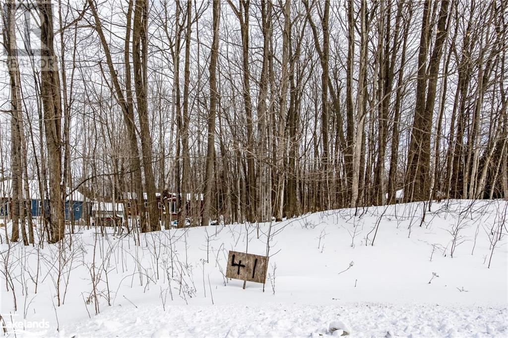 Lot 41 Wakunda Crescent, Tiny, Ontario  L9M 0B2 - Photo 13 - 40543531