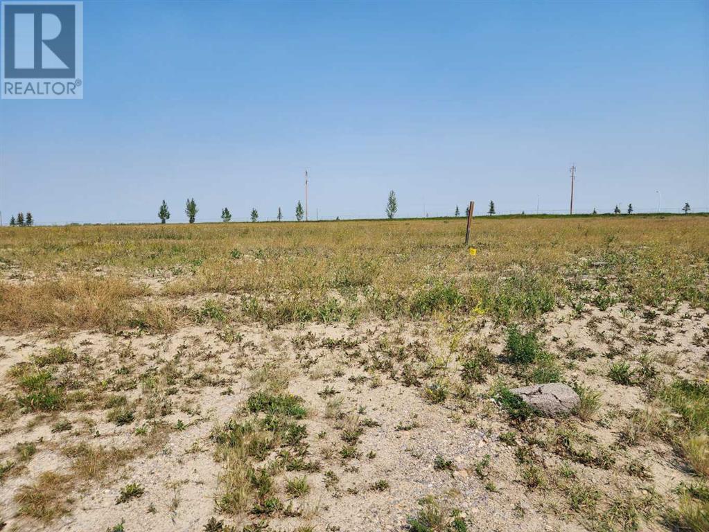 26 Durum Drive, Rural Wheatland County, Alberta  T0J 1X0 - Photo 2 - A2070664