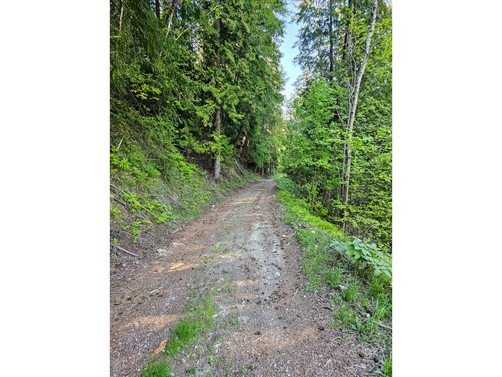 1392 Relkoff Road, Castlegar, British Columbia  V1N 4T8 - Photo 69 - 2475030