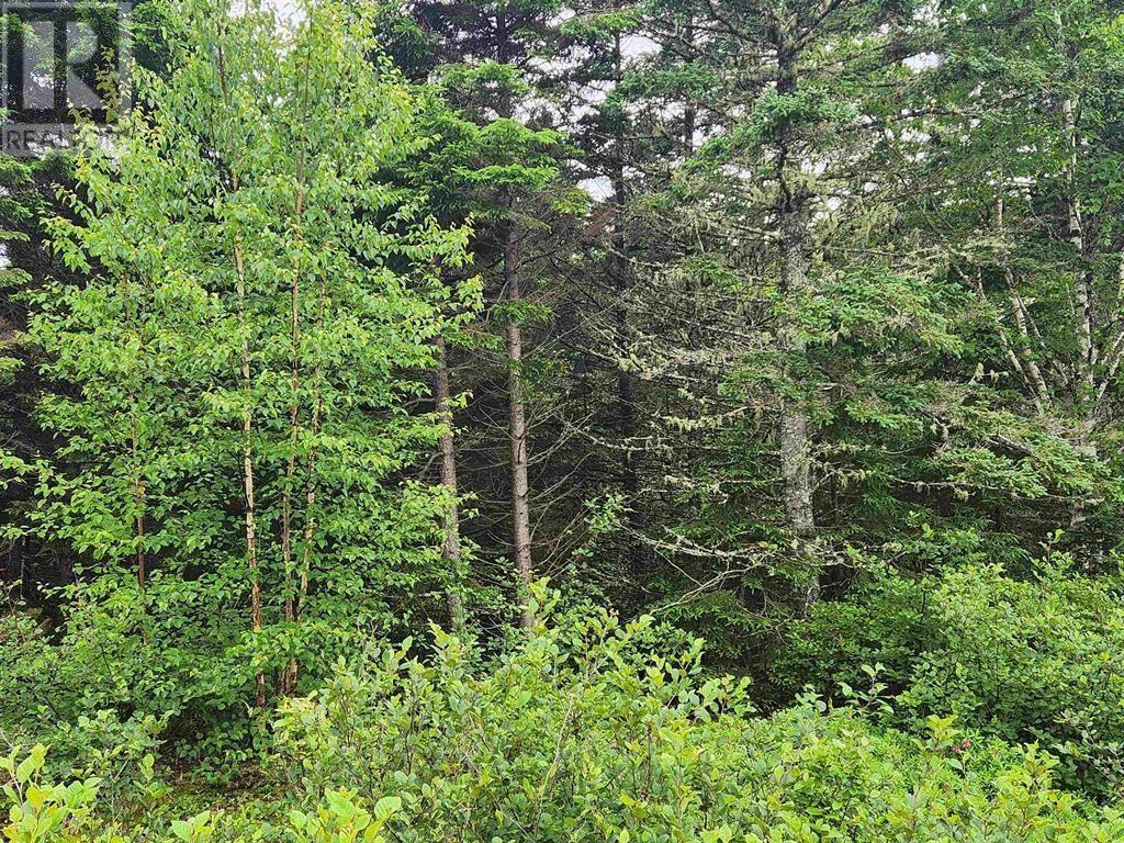 Lots Highway 329, Blandford, Nova Scotia  B0J 1T0 - Photo 3 - 202403109