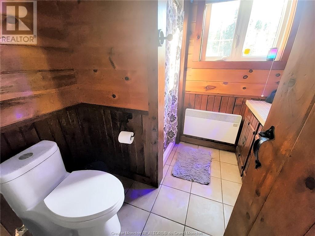 629 Cherryvale Rd, Canaan Forks, New Brunswick  E4Z 5X7 - Photo 10 - M157490