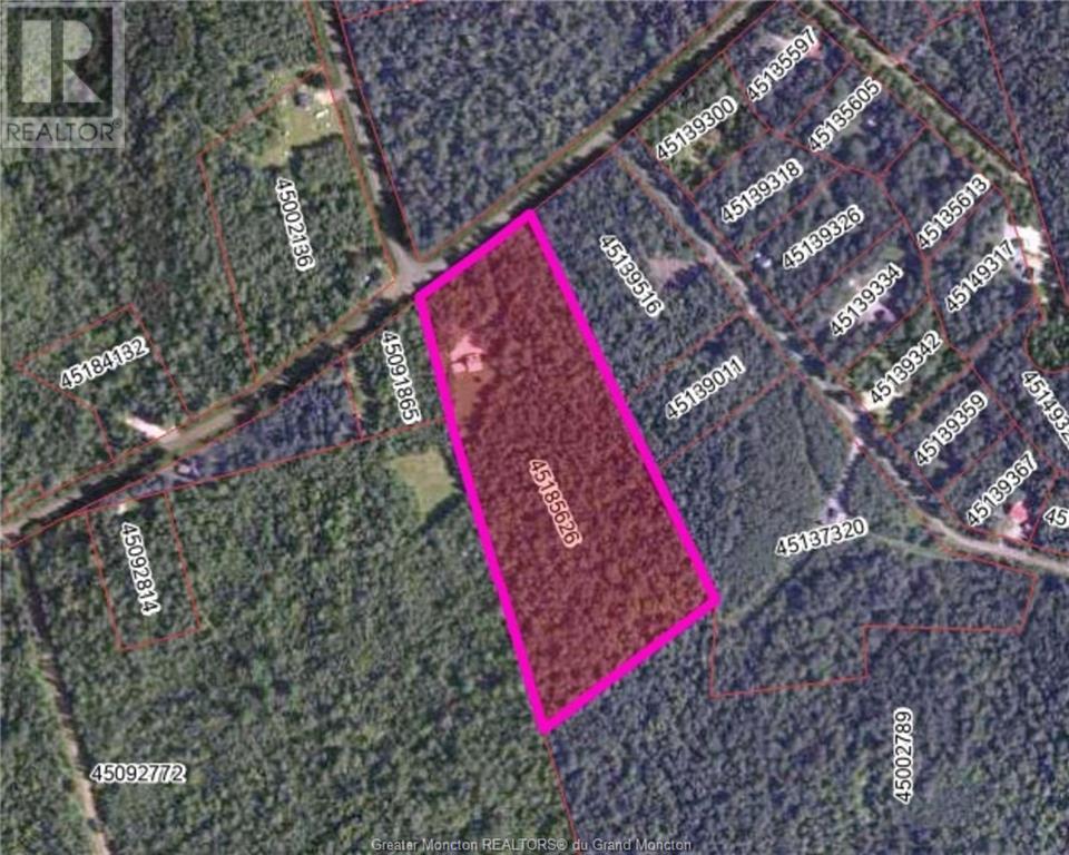629 Cherryvale Rd, Canaan Forks, New Brunswick  E4Z 5X7 - Photo 28 - M157490