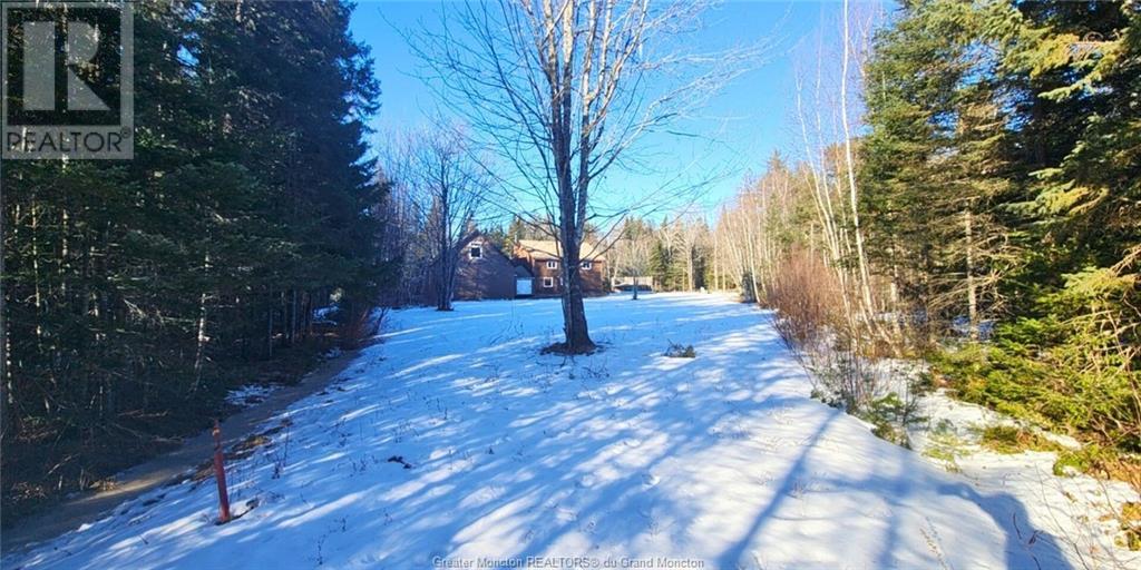 629 Cherryvale Rd, Canaan Forks, New Brunswick  E4Z 5X7 - Photo 29 - M157490