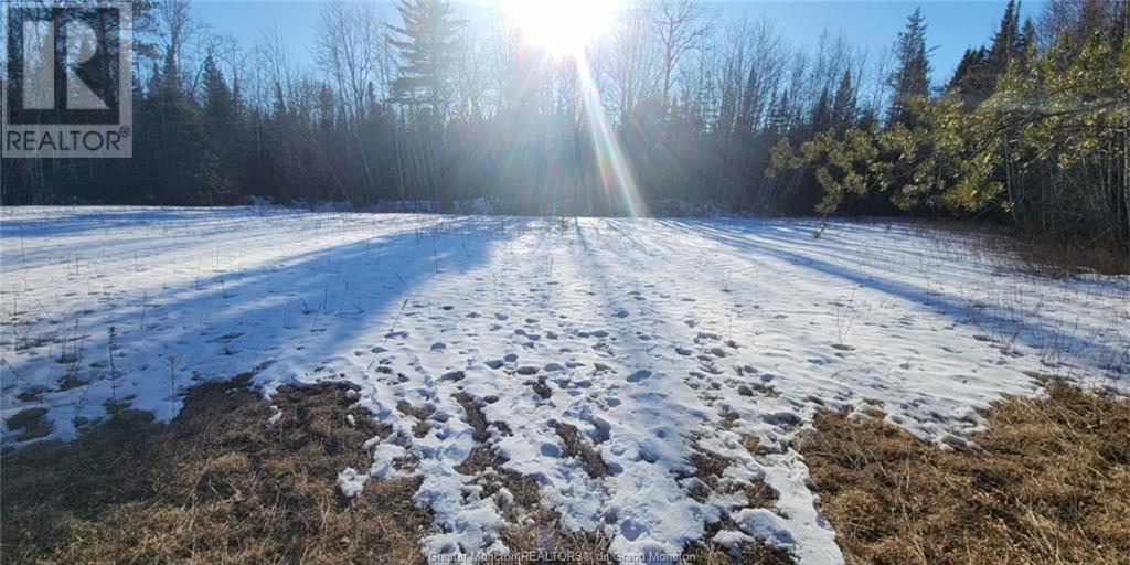 629 Cherryvale Rd, Canaan Forks, New Brunswick  E4Z 5X7 - Photo 31 - M157490