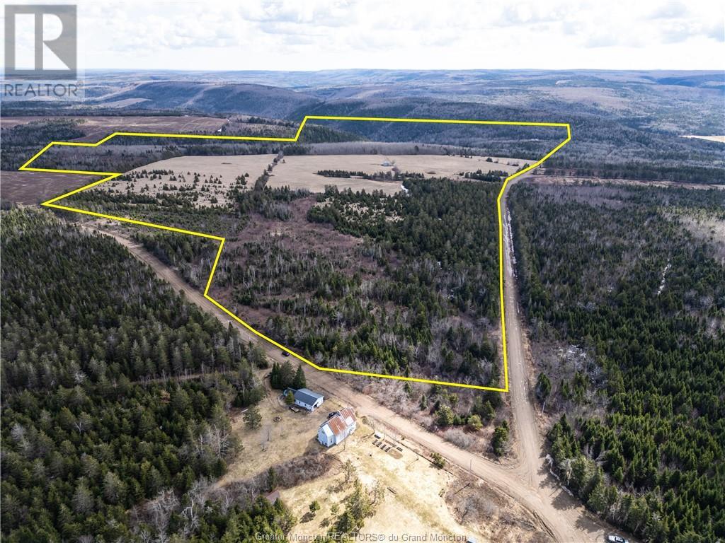 Acreage Gowland Mountain, Gowlan Mountain, New Brunswick  E4Z 2A6 - Photo 3 - M157487