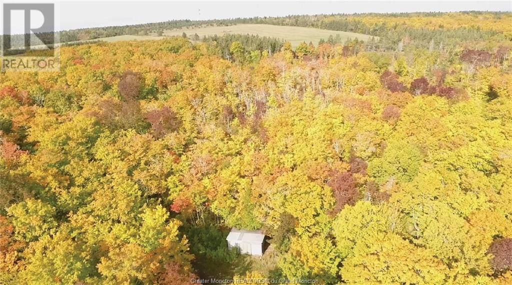 Acreage Gowland Mountain, Gowlan Mountain, New Brunswick  E4Z 2A6 - Photo 21 - M157487