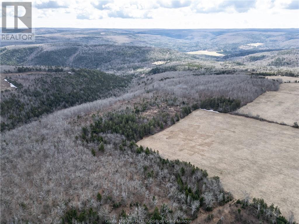 Acreage Gowland Mountain, Gowlan Mountain, New Brunswick  E4Z 2A6 - Photo 10 - M157487
