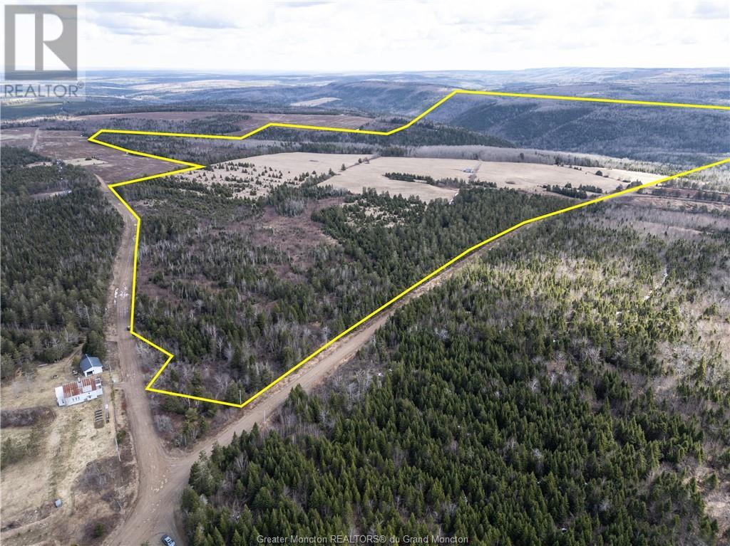 Acreage Gowland Mountain, Gowlan Mountain, New Brunswick  E4Z 2A6 - Photo 6 - M157487