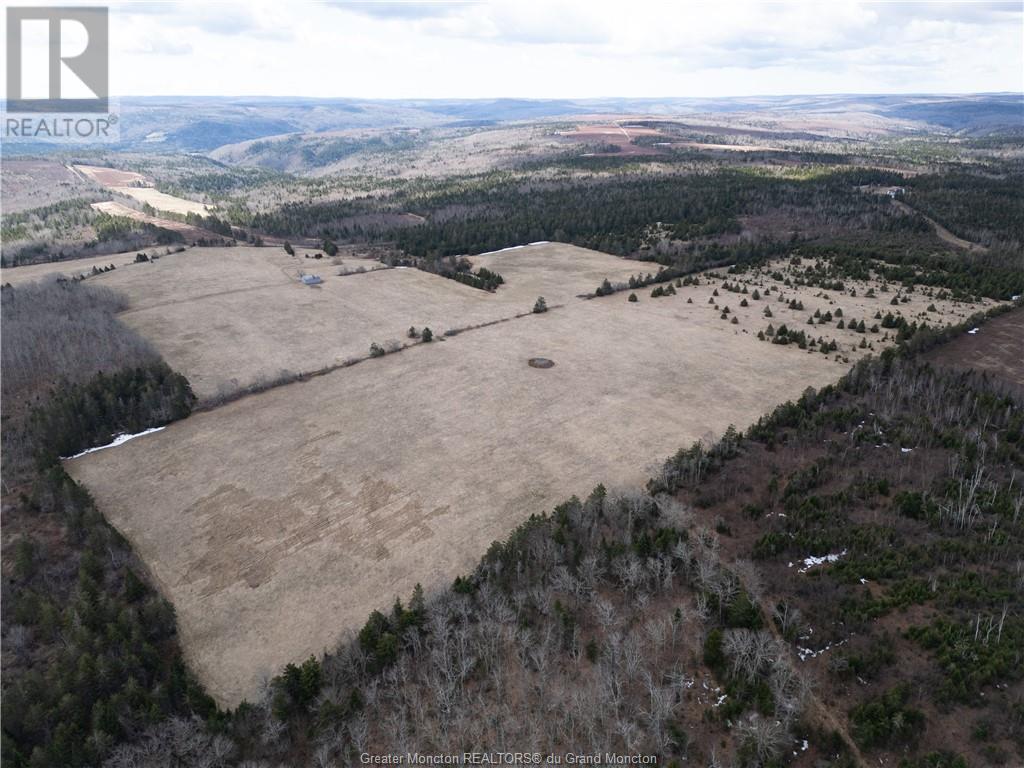 Acreage Gowland Mountain, Gowlan Mountain, New Brunswick  E4Z 2A6 - Photo 11 - M157487