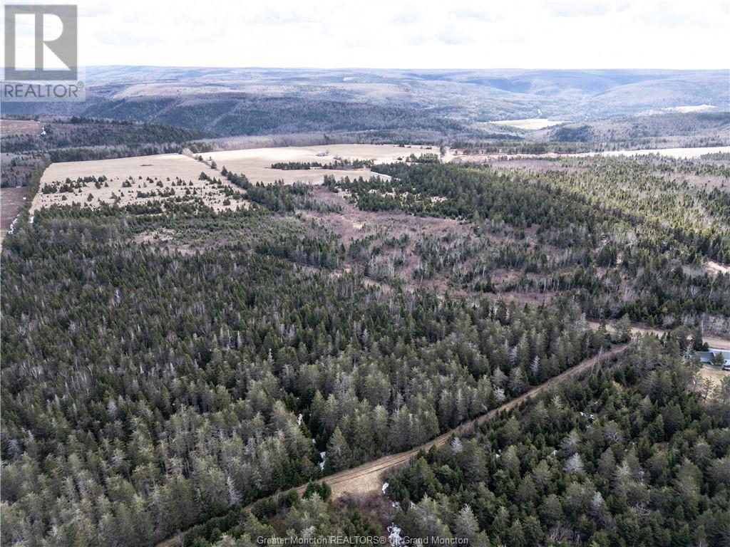 Acreage Gowland Mountain, Gowlan Mountain, New Brunswick  E4Z 2A6 - Photo 7 - M157487