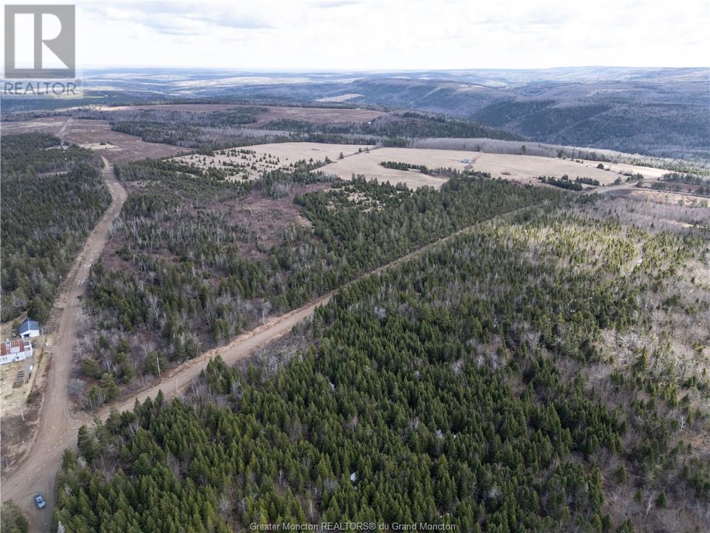 Acreage Gowland Mountain, Gowlan Mountain, New Brunswick  E4Z 2A6 - Photo 5 - M157487