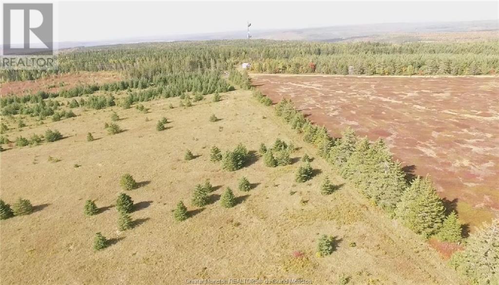 Acreage Gowland Mountain, Gowlan Mountain, New Brunswick  E4Z 2A6 - Photo 20 - M157487