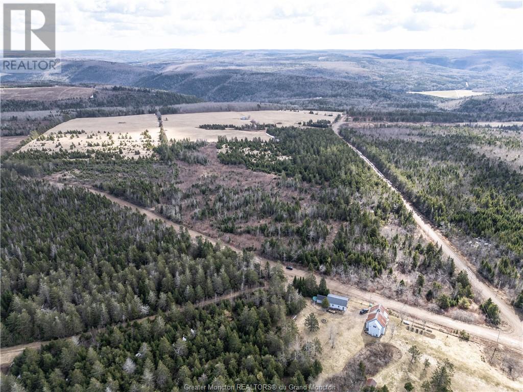 Acreage Gowland Mountain, Gowlan Mountain, New Brunswick  E4Z 2A6 - Photo 4 - M157487