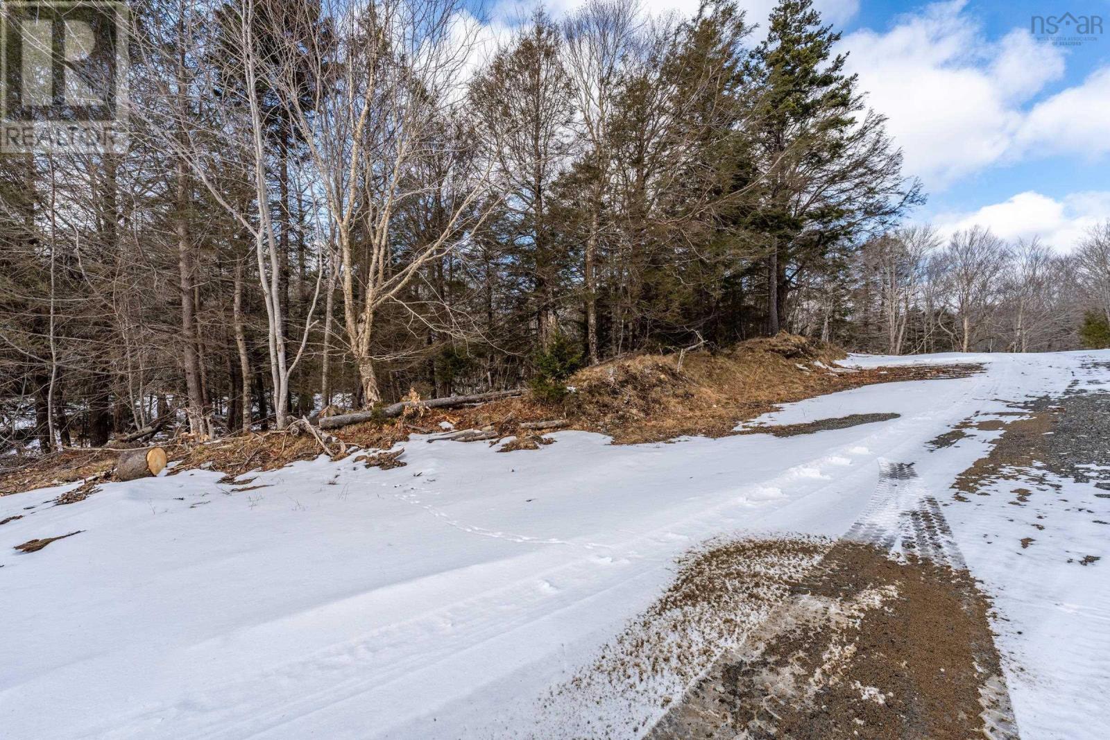Lot Dick Theriault Road, Hassett, Nova Scotia  B0W 3T0 - Photo 16 - 202403193