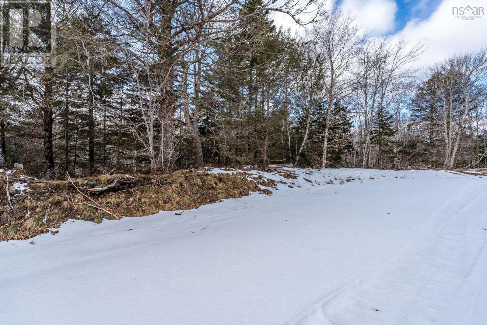 Lot Dick Theriault Road, Hassett, Nova Scotia  B0W 3T0 - Photo 17 - 202403193