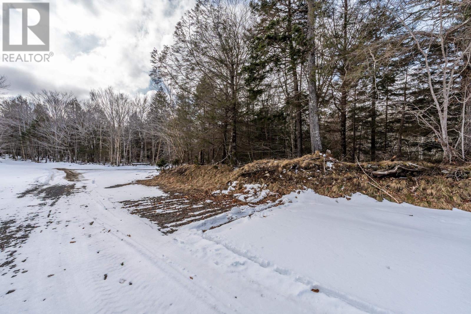 Lot Dick Theriault Road, Hassett, Nova Scotia  B0W 3T0 - Photo 18 - 202403193