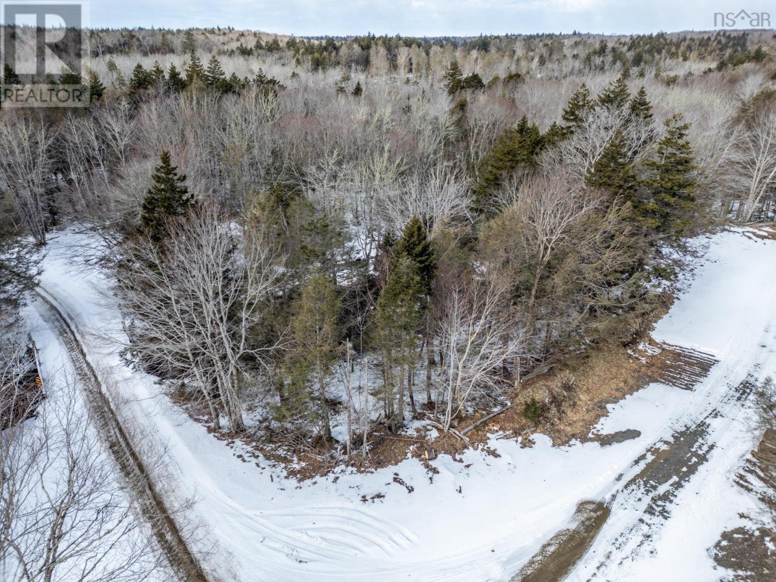 Lot Dick Theriault Road, Hassett, Nova Scotia  B0W 3T0 - Photo 3 - 202403193