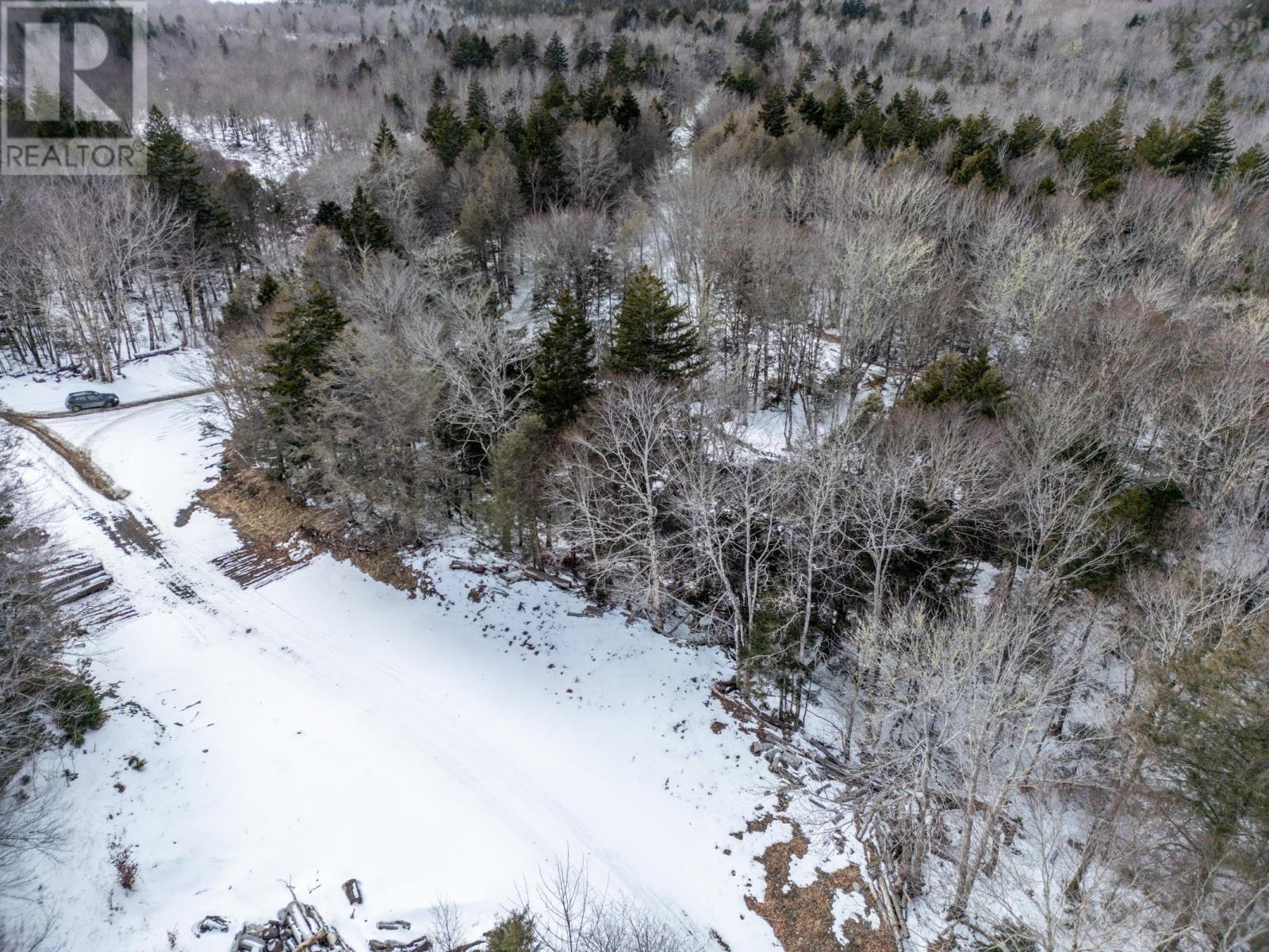 Lot Dick Theriault Road, Hassett, Nova Scotia  B0W 3T0 - Photo 4 - 202403193