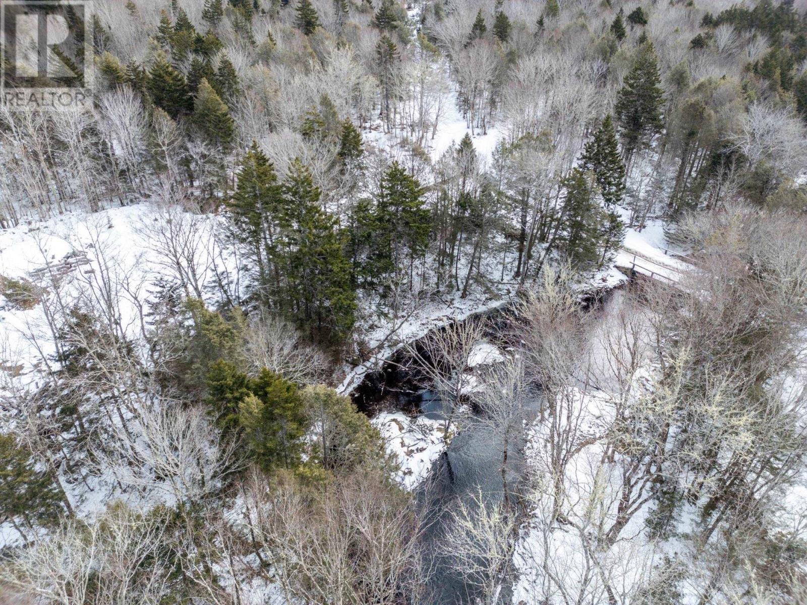Lot Dick Theriault Road, Hassett, Nova Scotia  B0W 3T0 - Photo 5 - 202403193