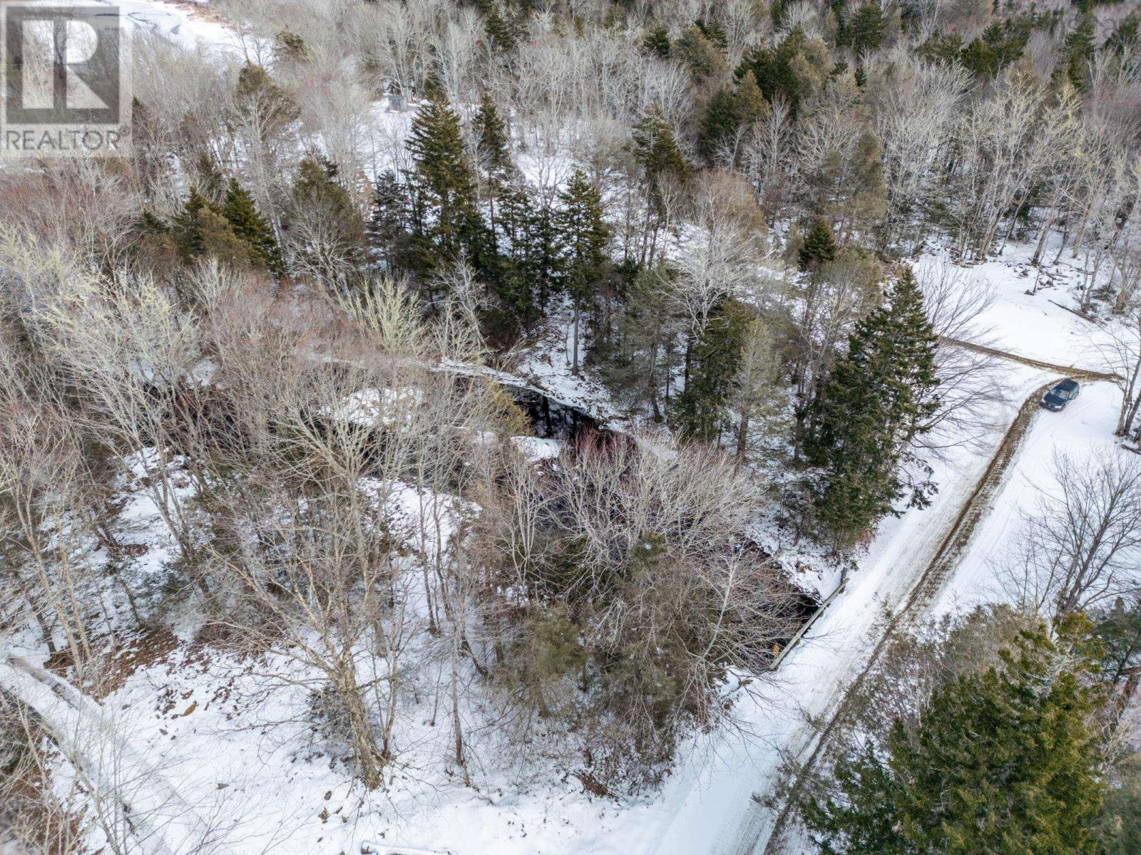 Lot Dick Theriault Road, Hassett, Nova Scotia  B0W 3T0 - Photo 6 - 202403193