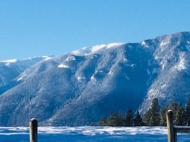 4096 Toby Creek Road, Invermere, British Columbia  V0A 1K5 - Photo 19 - 2475051