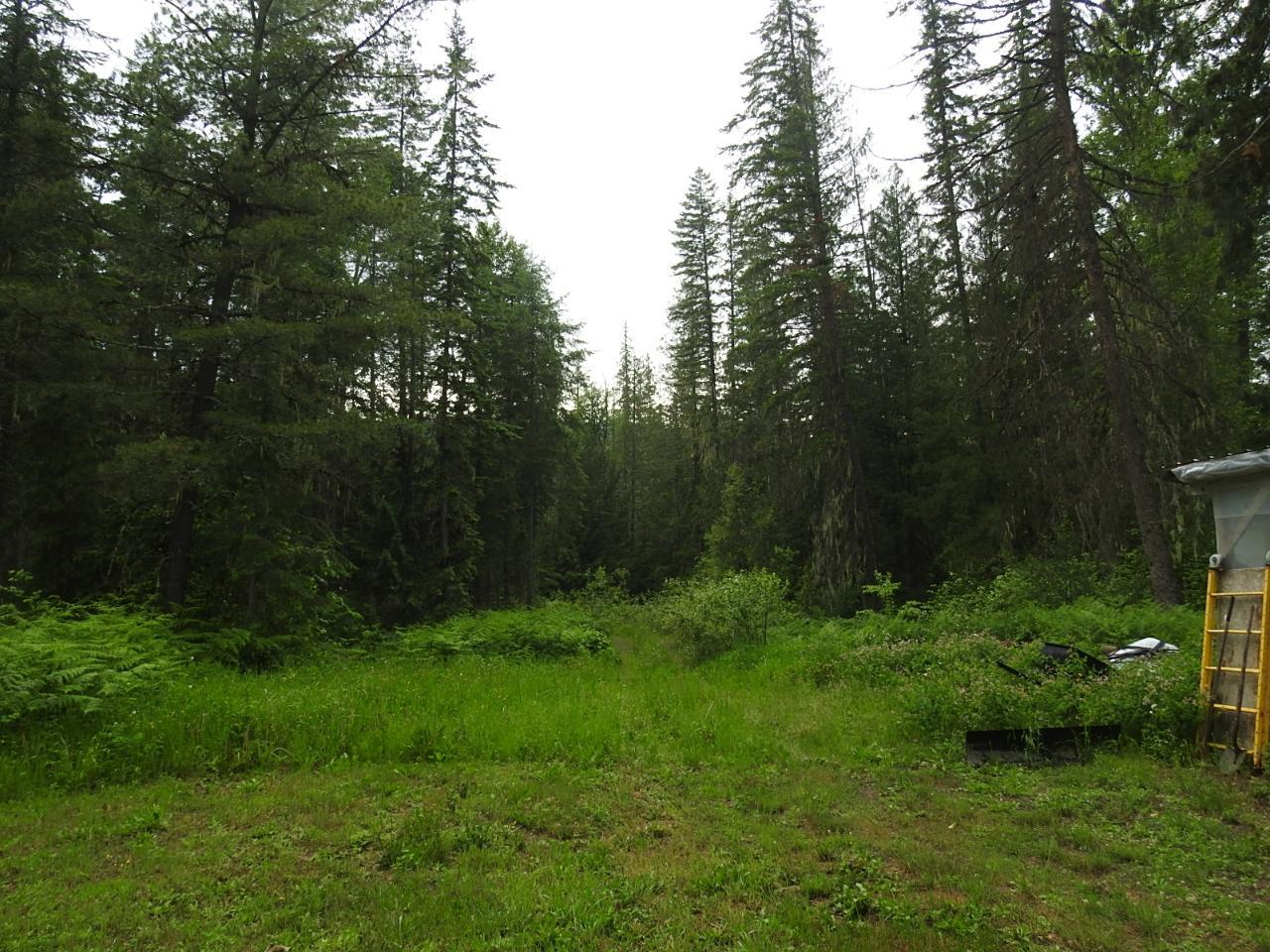 225 Barnes Creek Forest Service Road, Edgewood, British Columbia  V0G 1J0 - Photo 8 - 2471771