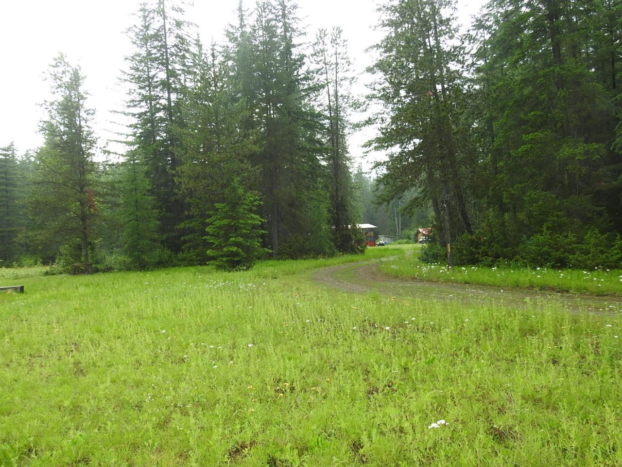 225 Barnes Creek Forest Service Road, Edgewood, British Columbia  V0G 1J0 - Photo 7 - 2471771