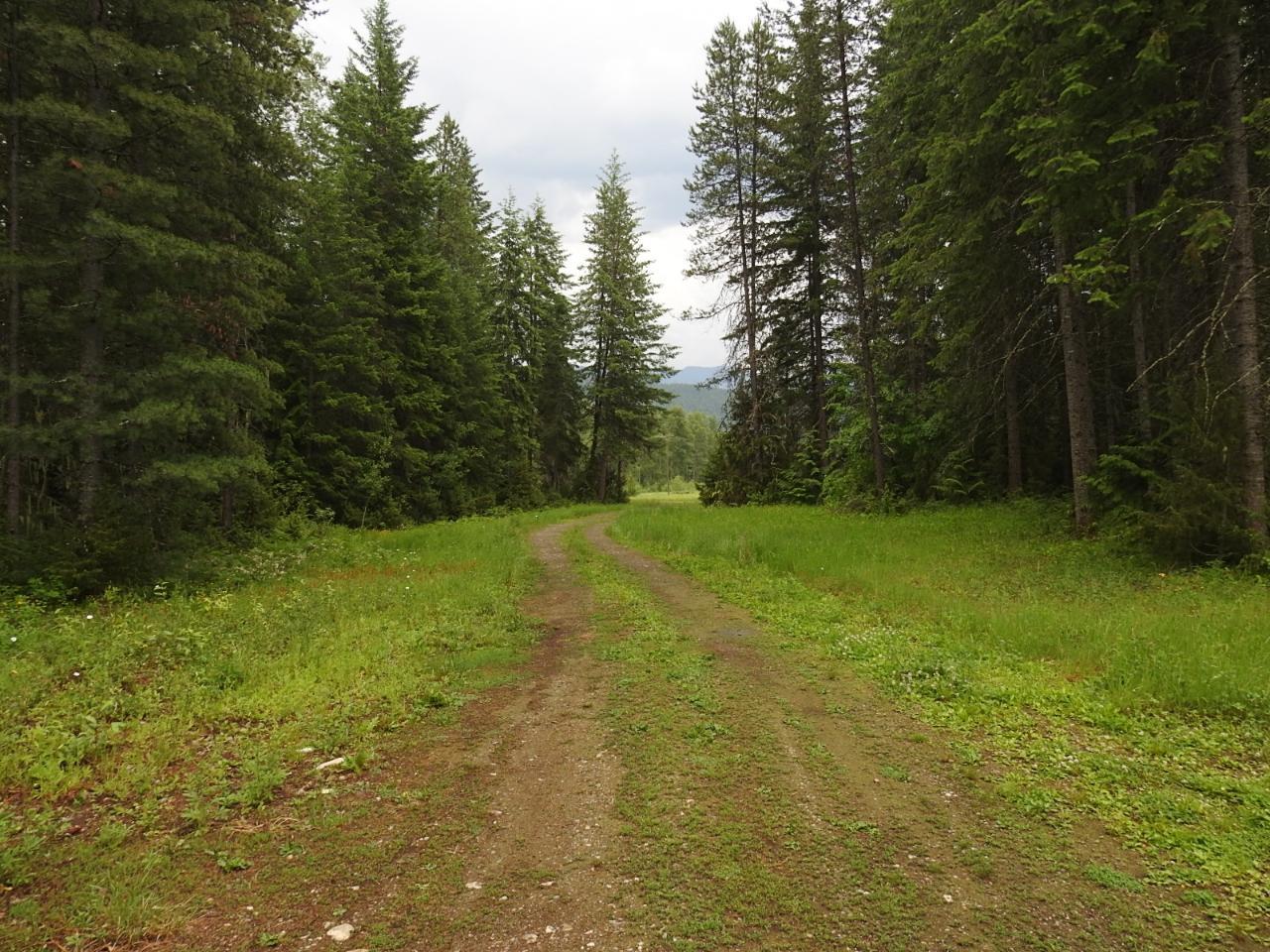 225 Barnes Creek Forest Service Road, Edgewood, British Columbia  V0G 1J0 - Photo 39 - 2471771